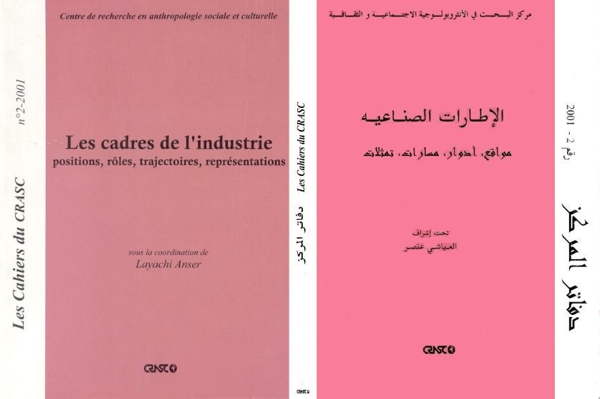 الإطارات الصناعية