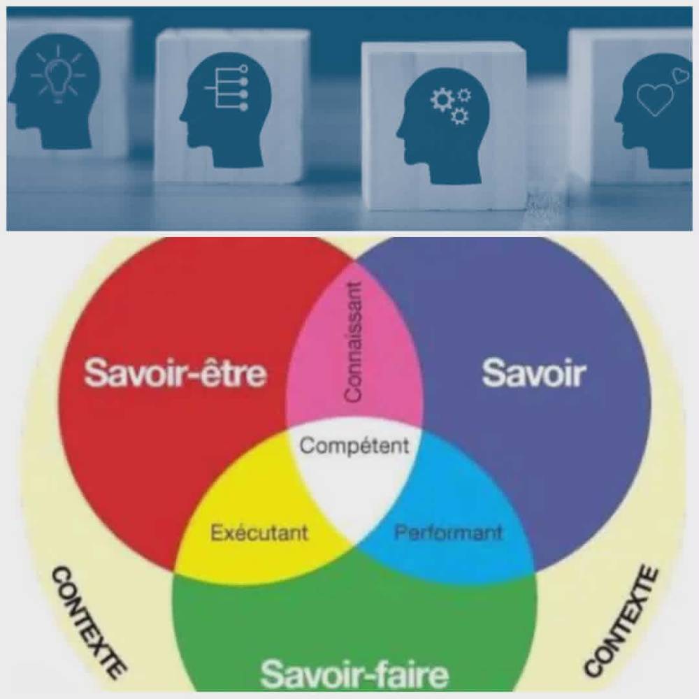 L’approche par compétence : pédagogie du problème et mise en œuvre
