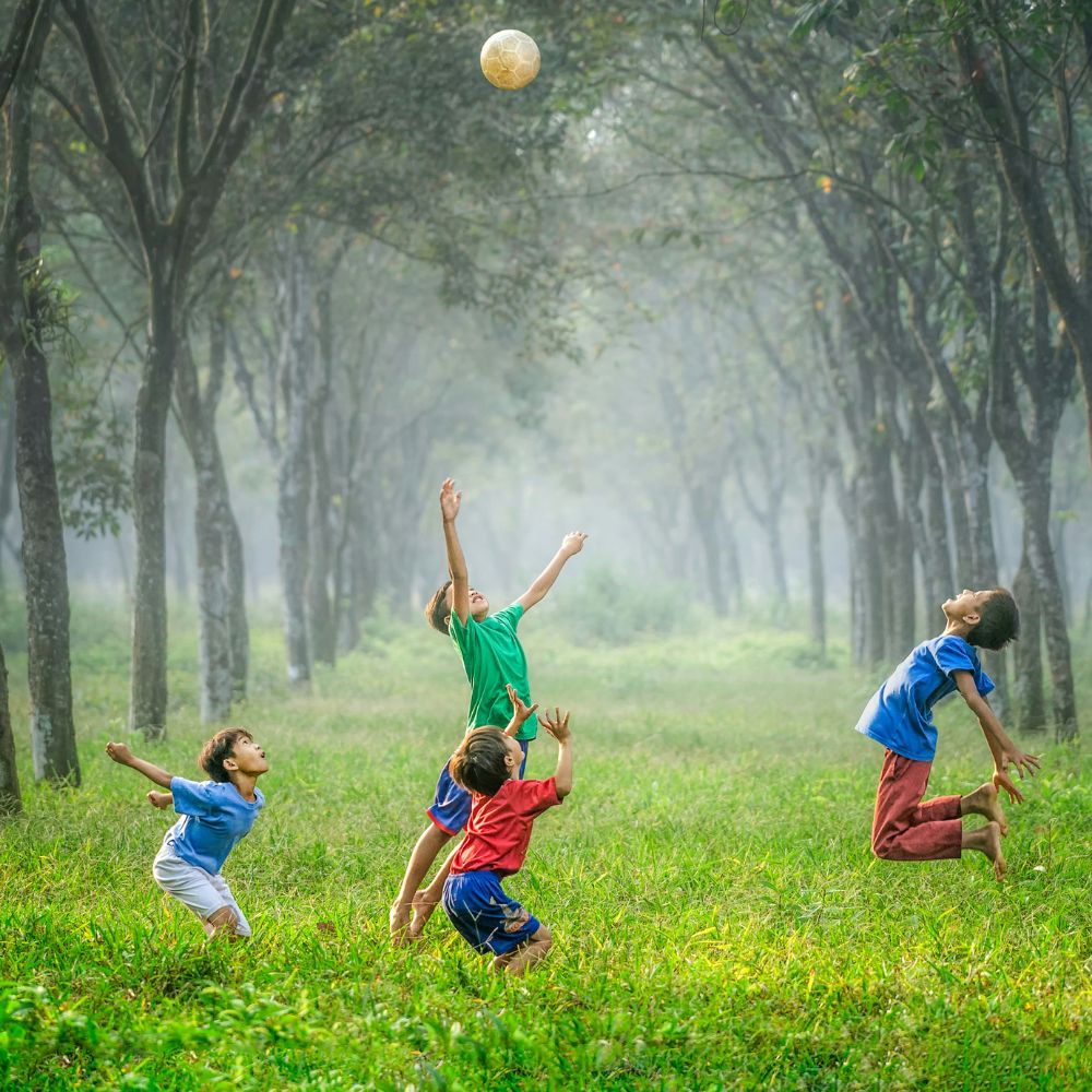 Social Representations of Autism: A Field Study in Mila